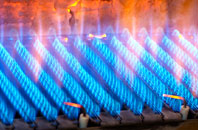 Sullington Warren gas fired boilers